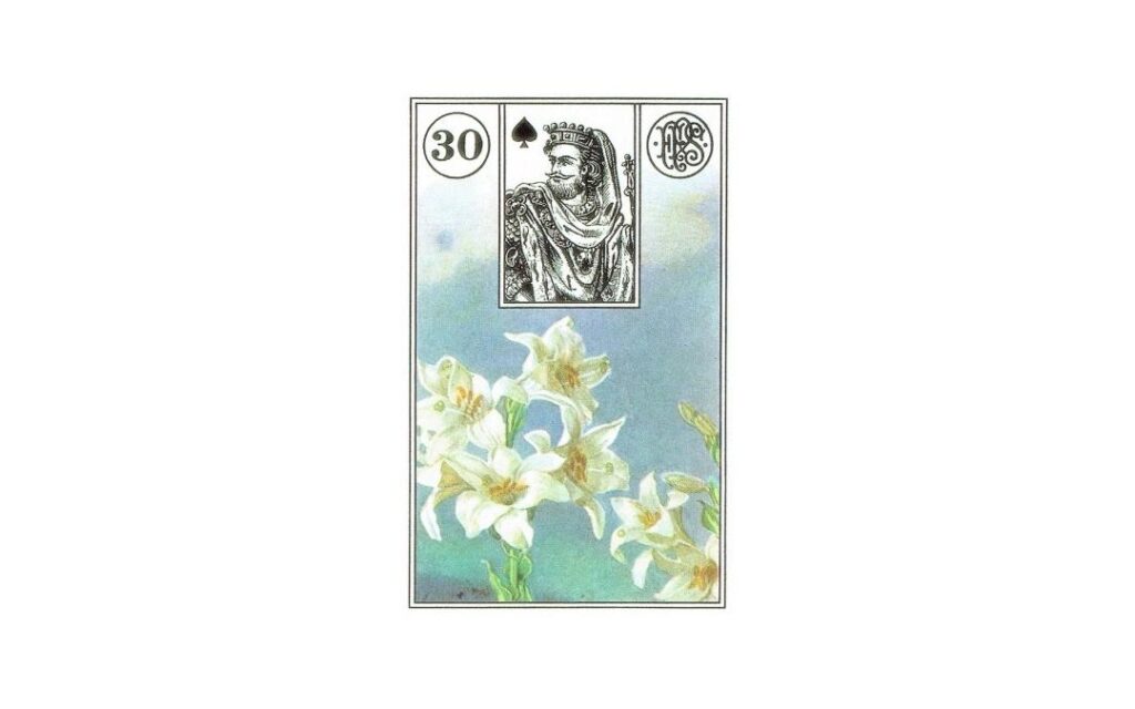Lilie - karta Lenormand - wróżka Katarzyna Zielińska