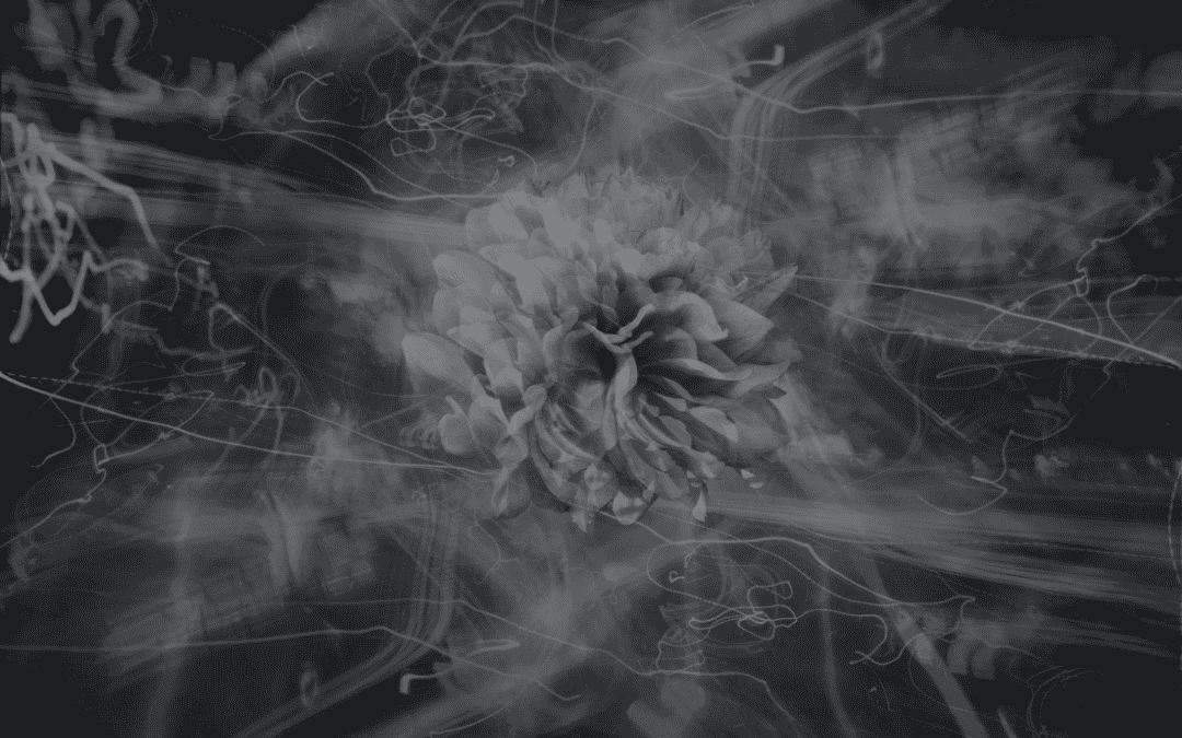 Niski astral - Katarzyna Zielińska – Mistrz Reiki – przekaz Reiki, harmonizacja czakr, oczyszczanie aury, odcinanie toksycznej osoby, oczyszczanie związku, energetyzowanie przedmiotu energią Reiki